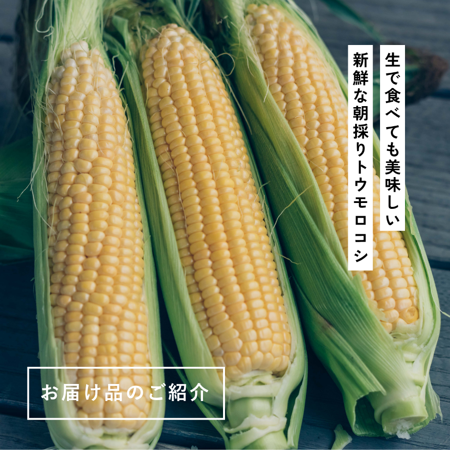森と暮らしの定期便 お試しセット